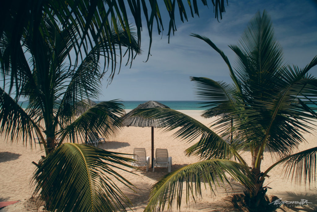 espreguiçadeiras na areia com palmeiras