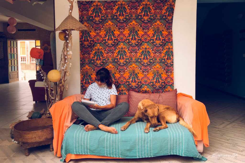 Mulher no sofá com cão