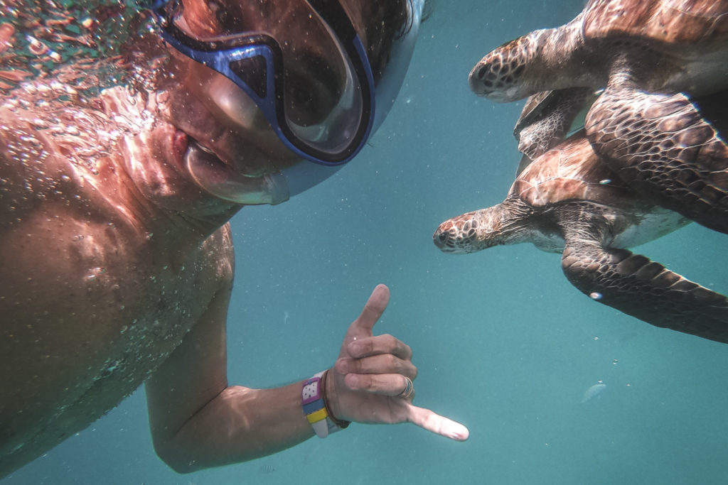 homem mergulha com 2 tartarugas