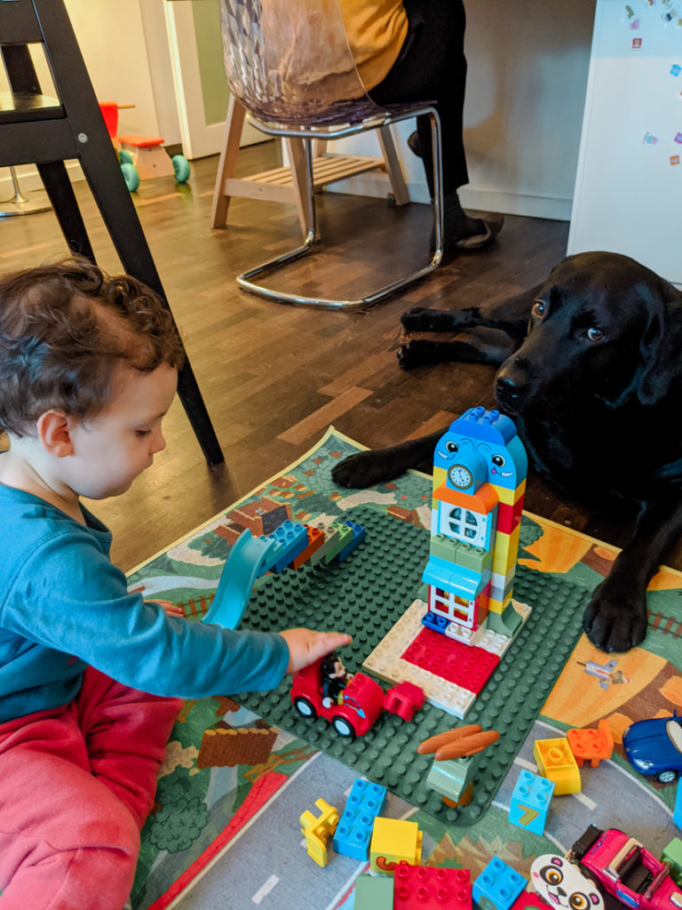 Criança e cachorro labrador a brincar com Legos 