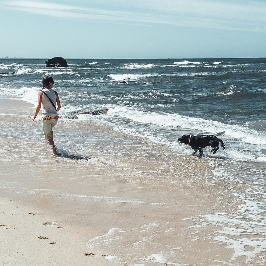 Mulher à beira mar com cão